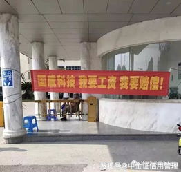 汽车供应链告急 国威科技破产背后的产业警钟